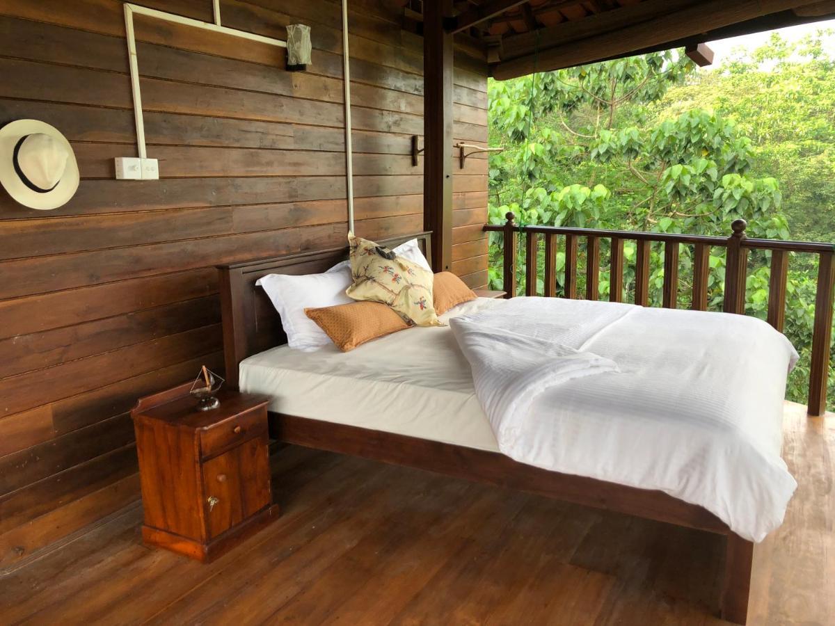 Wanakaset Forest Glamping Kitulgala Buitenkant foto