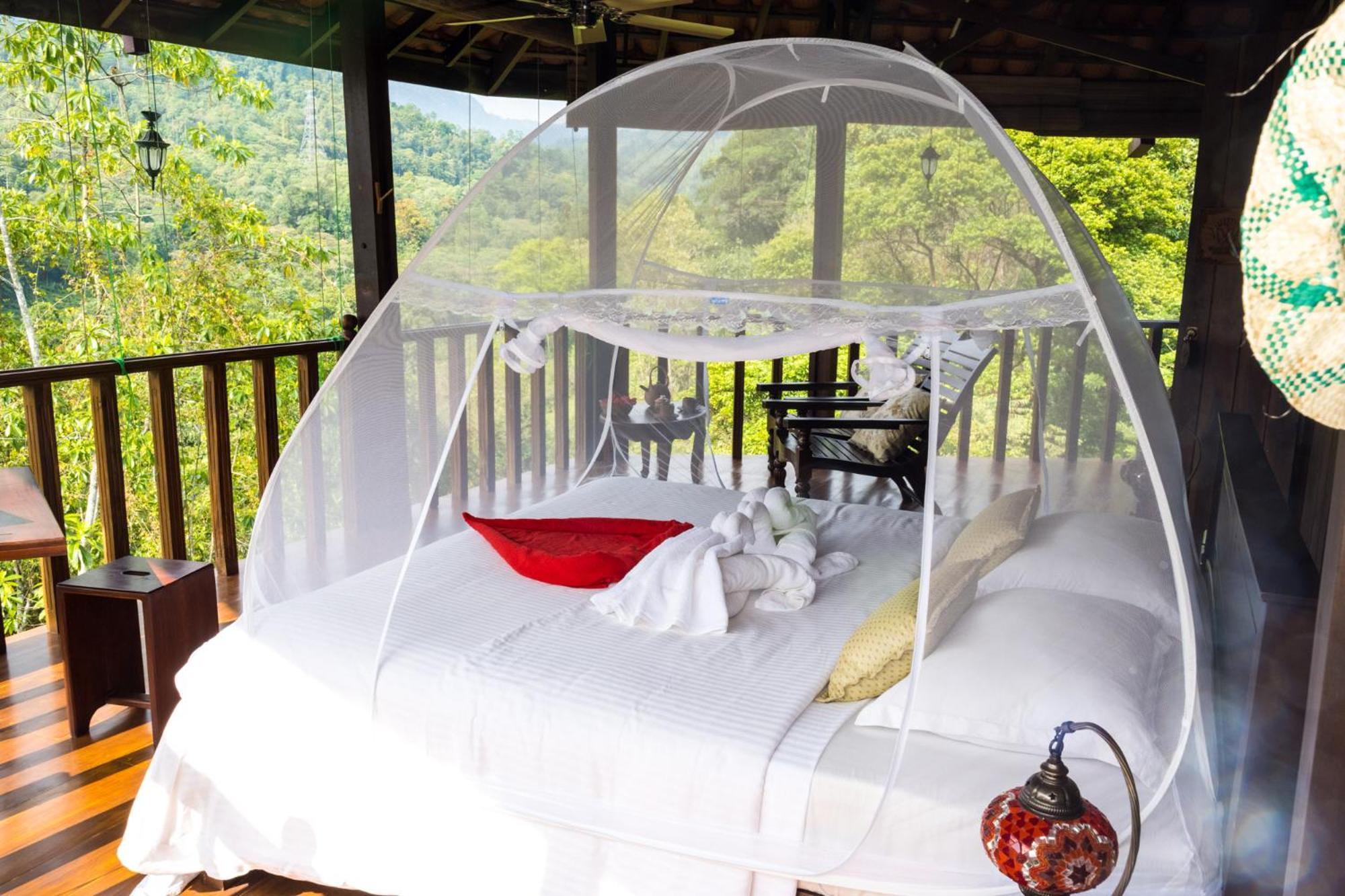 Wanakaset Forest Glamping Kitulgala Buitenkant foto