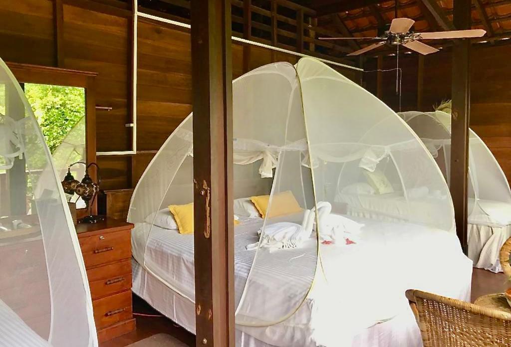 Wanakaset Forest Glamping Kitulgala Buitenkant foto