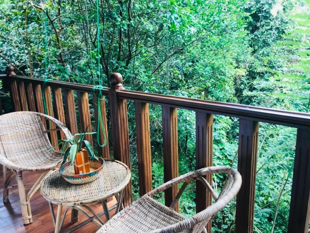 Wanakaset Forest Glamping Kitulgala Buitenkant foto