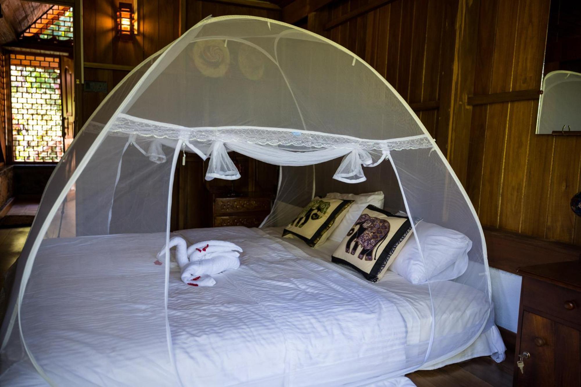 Wanakaset Forest Glamping Kitulgala Buitenkant foto