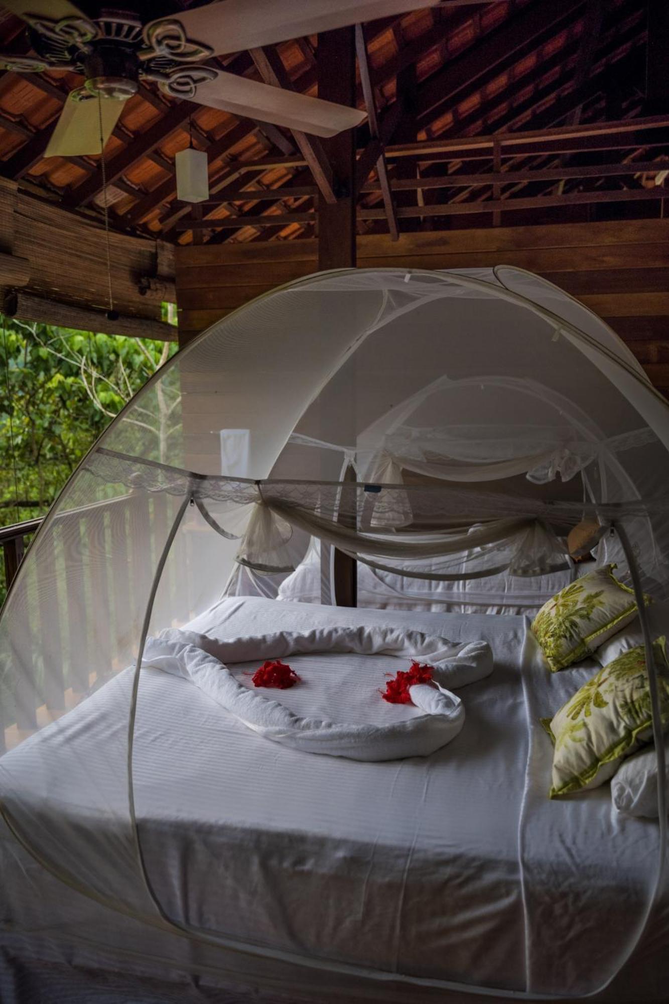 Wanakaset Forest Glamping Kitulgala Buitenkant foto
